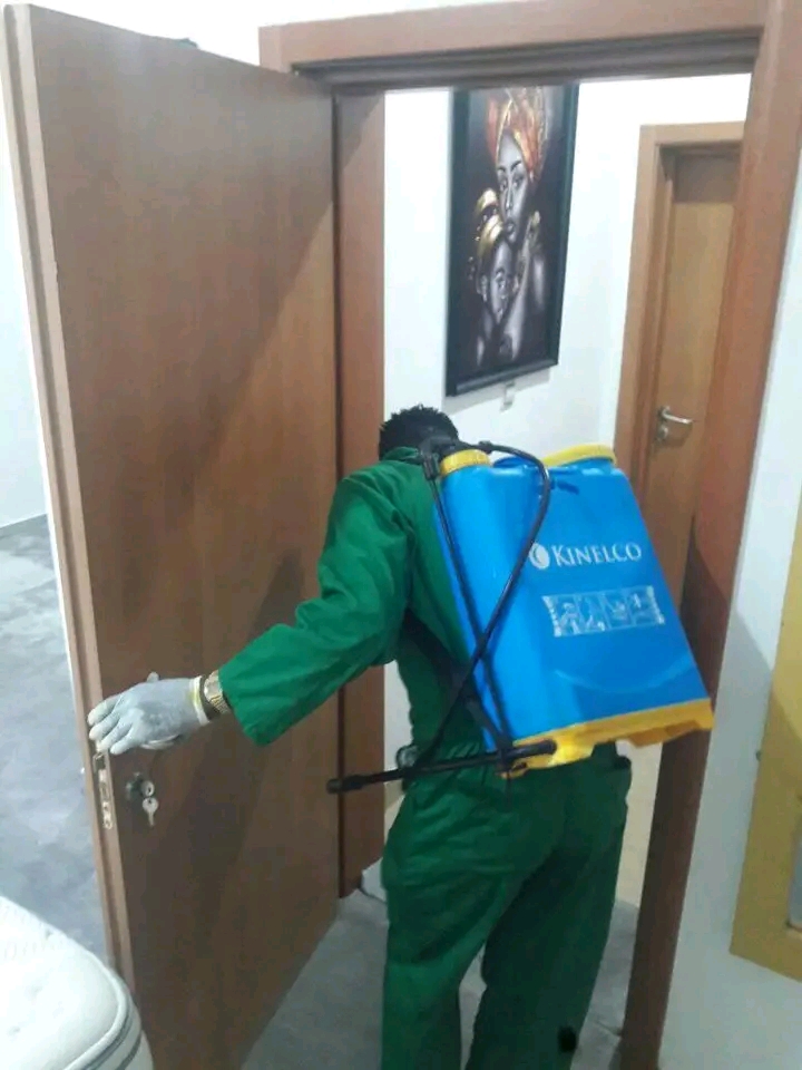 His Grace professional Fumigation services 